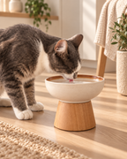 Gamelle surélevée pour chat Ameloa à l'unité, pour manger sans baisser la tête jusqu'au sol